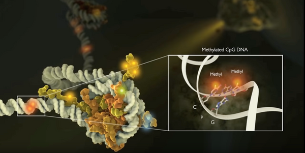 Taboo Biology: Epigenetics